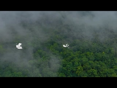 جعبه ناهار سیلیکونی